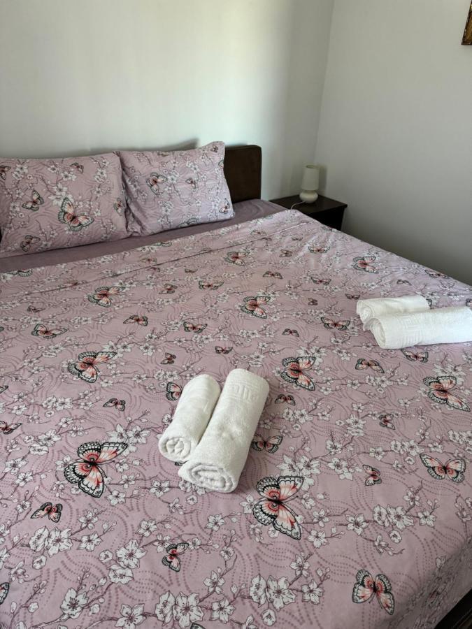 Apartments Airport Golubovci Podgorica Eksteriør bilde